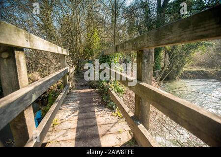 Primavera a Rag Mill wood, Slaughterford, Wiltshire. Foto Stock