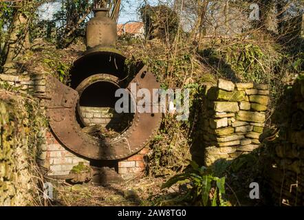 Primavera a Rag Mill wood, Slaughterford, Wiltshire. Foto Stock