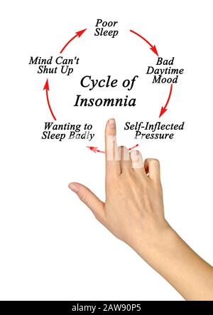 Componenti del ciclo di Insomnia Foto Stock