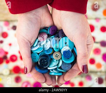 Mani di donna che tengono una manciata di colorful pulsanti blu cucito Foto Stock