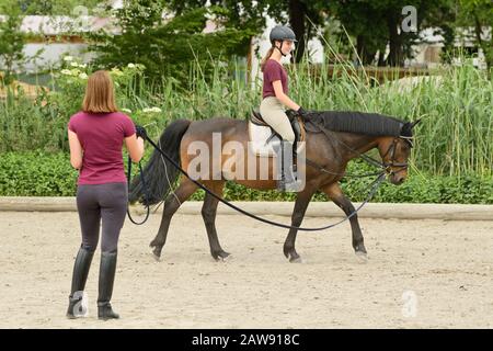 Lezione di equitazione, ragazza sul pony tedesco Foto Stock