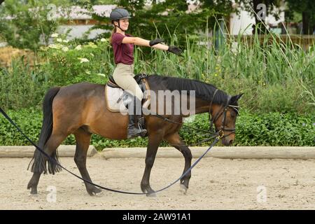 Lezione di equitazione, ragazza sul pony tedesco Foto Stock