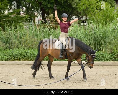 Lezione di equitazione, ragazza sul pony tedesco Foto Stock