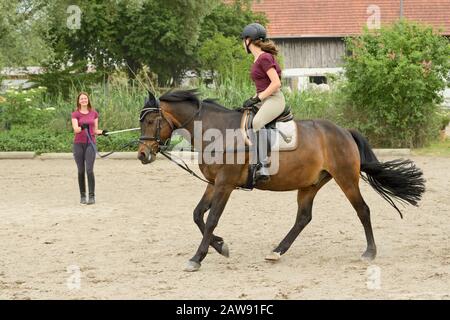 Lezione di equitazione, ragazza sul pony tedesco Foto Stock