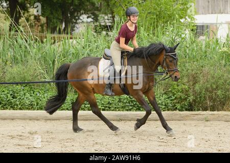 Lezione di equitazione, ragazza sul pony tedesco Foto Stock
