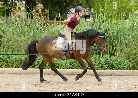 Lezione di equitazione, ragazza sul pony tedesco Foto Stock