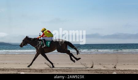 Corse di cavalli sulla spiaggia, la selvaggia atlantic Way sulla costa occidentale dell'Irlanda Foto Stock