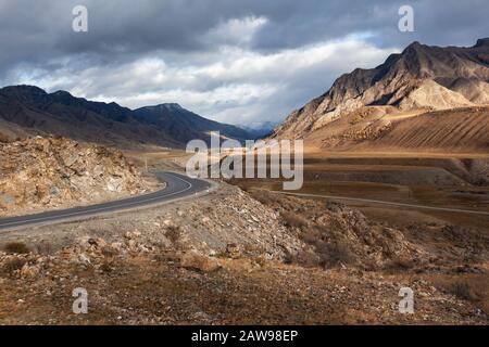 Autunno Altai catena montuosa Chuya tratto giallo alberi Taiga foresta Foto Stock