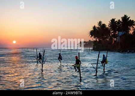 Pescatori su palafitte in silhouette al tramonto, Sri Lanka Foto Stock