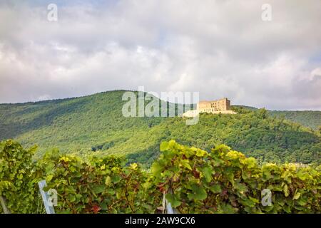 Castello Hambacher Schloss, vicino alla città di Neustadt an der Weinstrasse, Germania Foto Stock