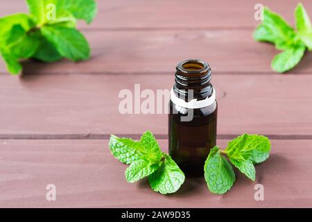 bottiglia con olio essenziale e foglie di menta su un tavolo di legno marrone Foto Stock