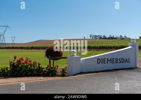 Durbanville, Città Del Capo, Sudafrica. 2019. Uva sulle viti nella regione viticola di Durbanville vicino a Città del Capo, Sud Africa. Cancello d'ingresso. Foto Stock