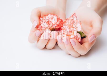 Belle mani femminili che tengono garofani su uno sfondo bianco. Concetto di cancro ovarico, ovulazione infertilità. Foto Stock