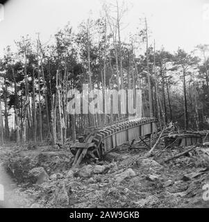 Front North-East Netherlands: V1 Runway Launch Installazione di razzi V1 tedeschi in Almelo (Paradisjsbos) Annotation: L'obiettivo dei razzi: Il porto di Anversa. Al loro ritiro nel mese di aprile 1945 la pianta dai tedeschi distrutto Data: 20 aprile 1945 luogo: Almelo, Overijssel Parole Chiave: V-armi, fronti, seconda guerra mondiale Foto Stock