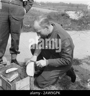 Front North-East Netherlands: Tours Prince Bernhard Pranzo nel campo Data: Aprile 1945 Parole Chiave: Soldiers Foto Stock