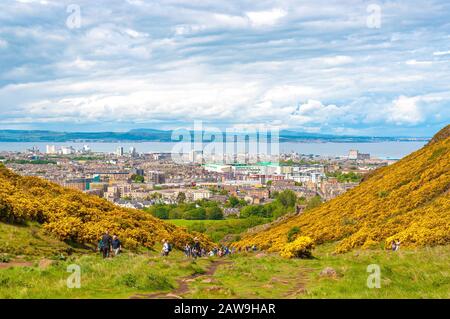 Persone irriconoscibili nell'Holyrood Park, circondato da fiori gialli, Edimburgo Foto Stock