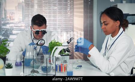 Diversi specialisti di ricerca che lavorano con materiali organici in moderni laboratori di chimica luminosa utilizzando diversi strumenti e metodi di sperimentazione Foto Stock