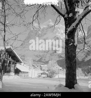Visita reale a Grindelwald, foto di Grindelwald Data: 31 dicembre 1953 posizione: Grindelwald Parole Chiave: Paesaggi Foto Stock