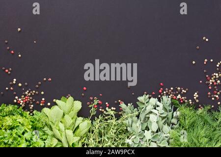 Fondo scuro con erbe verdi fresche e mix di peperoni in fondo, Tra cui menta, timo, aneto, origano e prezzemolo Foto Stock