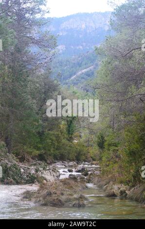 Gli Algari, un incontaminato fiume di montagna mediterranea nel Parco Naturale di Els Ports, Catalogna Foto Stock