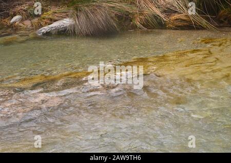 Gli Algari, un incontaminato fiume di montagna mediterranea nel Parco Naturale di Els Ports, Catalogna Foto Stock