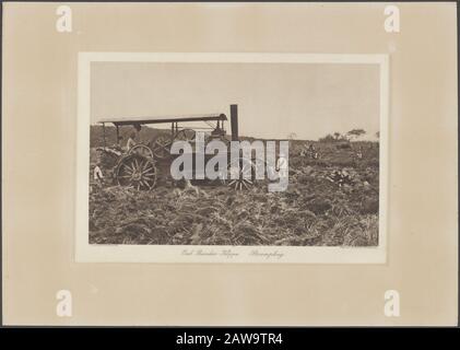 Album Fotografico Deli Company: Deli Maatschappij. Costa orientale di Sumatra (C.J. Kleingrotthe, Medan) Enterprise Bandar Klippa. Steam Team Data: 1905 Luogo: Indonesia, Indie Orientali Olandesi, Sumatra Foto Stock