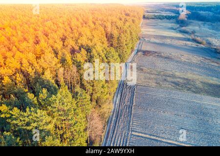 Autunno paesaggio rurale. Vista aerea. Vista sulla campagna, i campi di seminativi e la pineta in serata al tramonto Foto Stock