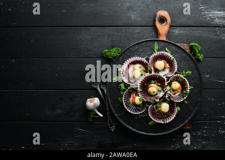 Capesante al forno in conchiglie con prezzemolo e spezie. Vista dall'alto. Spazio libero per il testo. Foto Stock