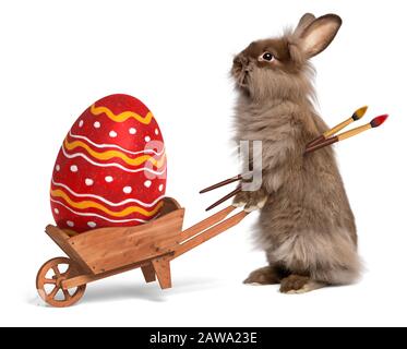 Carino coniglio coniglietto di Pasqua con un piccolo carriola e un uovo di Pasqua dipinto di rosso, isolato su bianco, CG+foto Foto Stock