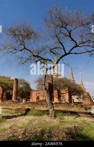 Rovine del tempio a Ayutthaya, Thailandia. Foto Stock