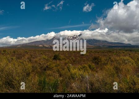 Monte Ruapehu, nell'Isola Nord della Nuova Zelanda, come si vede dalla strada del deserto. Foto Stock