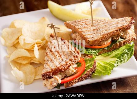 Insalata di pollo Sandwich su un letto di Lettuce Servito con Patatine e un Pickle Foto Stock