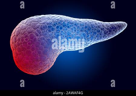 Dolore nel concetto Pancreatico. Effetto luce fantasma, ologramma a raggi X. Rendering 3D su sfondo blu scuro Foto Stock