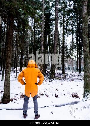 Uomo in una giacca di colore giallo brillante. Natura foresta. Foto Stock