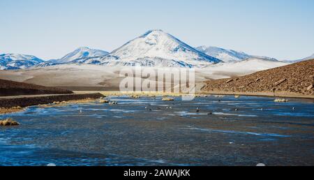 le lagune delle highland accanto ai geyser di 'El Tatio' all'alba Foto Stock