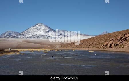 le lagune delle highland accanto ai geyser di 'El Tatio' all'alba Foto Stock