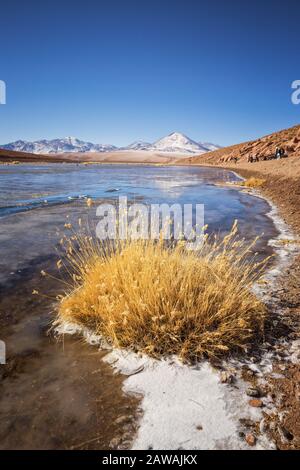 le lagune delle highland accanto ai geyser di 'El Tatio' all'alba Foto Stock