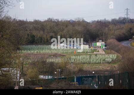 Harefield, Regno Unito. 7 Febbraio 2020. Gli alberini piantati da HS2 lungo Harvil Road come misura di mitigazione per la distruzione di boschi antichi nelle vicinanze. Molti dei giovani alberi sono già morti. Credit: Mark Kerrison/Alamy Live News Foto Stock