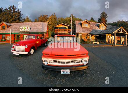 Chevy Trucks di fronte al Forks Visitor Center e al museo del legno a Forks Washington. Il camion di sinistra è un Chevy 1953, che prevede il truc di Bella Swan Foto Stock