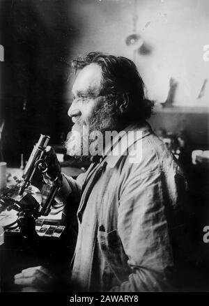 1913 ca, PARIGI , FRANCIA : il professore francese-ucraino Doctor Élie Metchnikoff ( nato Ilya Ilyich Mechnikov , 1845 - 1916 ), foto di M. Rol , pari Foto Stock