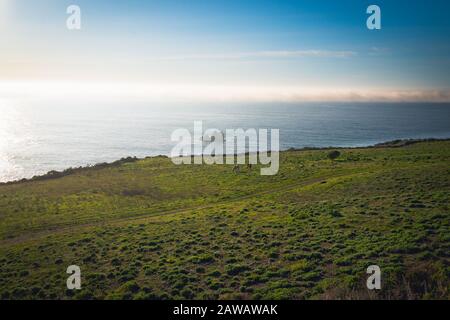 Pacific Valley A Los Padres National Forest. Monterey County, Pacific Coast, California Foto Stock