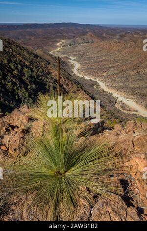 Vista panoramica sul crinale lungo il Gammon Range con la strada sterrata che si snoda attraverso la valle fino ad Arkaroola, South Australia. Foto Stock