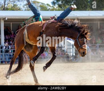 Sella di cavalli a un rodeo australiano Foto Stock