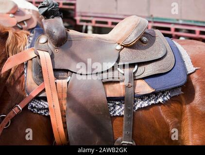 Sella di cavalli a un rodeo australiano Foto Stock