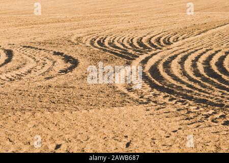 Disegno di creste curve e solchi su un campo sabbioso. Tracce sulla sabbia. Tracce trattore Foto Stock