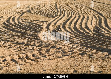 Disegno di creste curve e solchi su un campo sabbioso. Tracce sulla sabbia. Tracce trattore Foto Stock