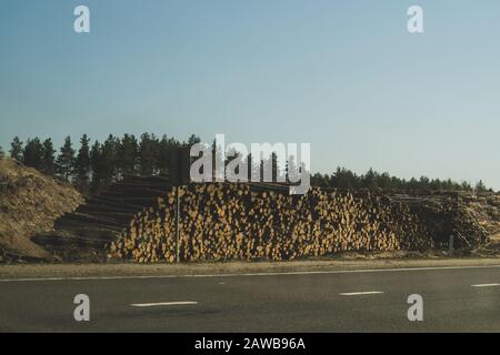 Pila di tronchi giacente sul lato della strada. Mucchio grande di legname. Sfondo industriale Foto Stock