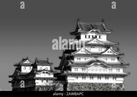 Principale impressione di bianco-nero del castello storico in Giappone vicino alla città di Osaka contro il cielo blu in una luminosa luce solare - tradizionale architettura giapponese. Foto Stock
