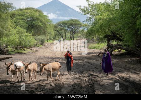 Tanzania, LAGO NATRON - GENNAIO 2020: Pastorelli Maasai in tessuto tradizionale camminando vicino al Lago Natron e Ol Doinyo Lengai vulcano, Tanzania Foto Stock