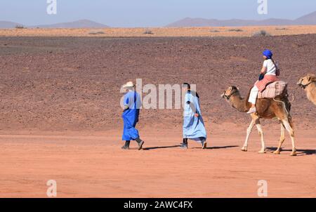 I turisti in un safari in cammello sono guidati da guide berbere in Marocco Nord Africa Foto Stock